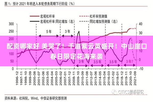 配资哪家好 美哭了！千亩紫云英盛开！中山崖口春日限定花海来袭