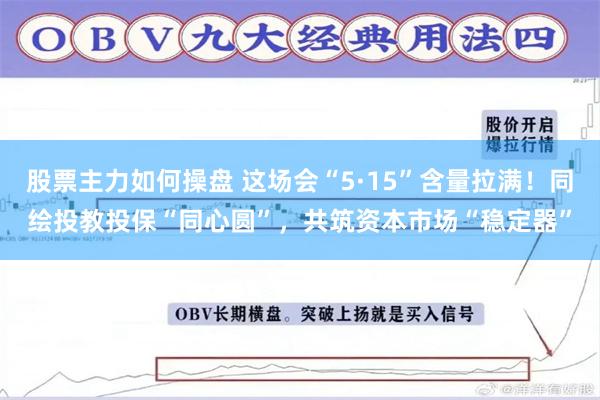 股票主力如何操盘 这场会“5·15”含量拉满！同绘投教投保“同心圆”，共筑资本市场“稳定器”