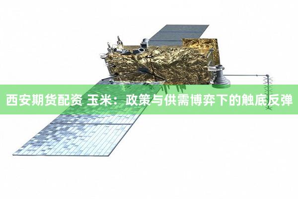 西安期货配资 玉米：政策与供需博弈下的触底反弹
