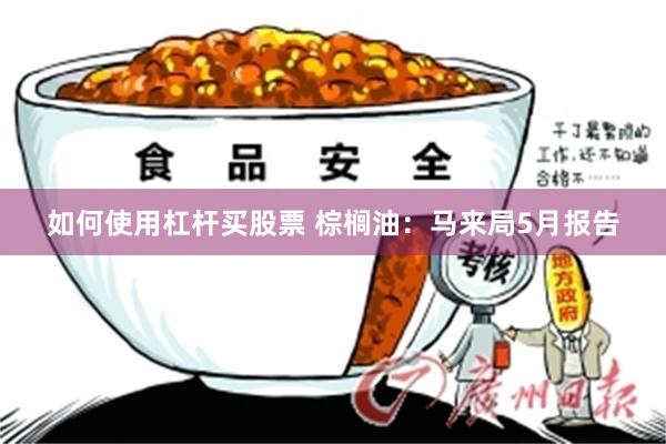 如何使用杠杆买股票 棕榈油：马来局5月报告
