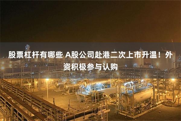 股票杠杆有哪些 A股公司赴港二次上市升温！外资积极参与认购