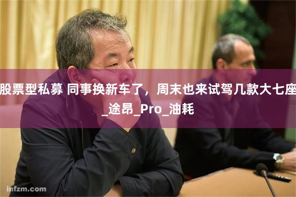 股票型私募 同事换新车了，周末也来试驾几款大七座_途昂_Pro_油耗