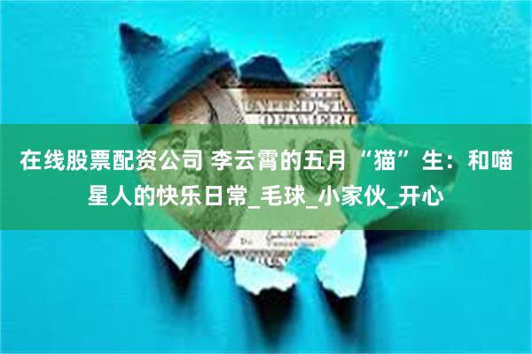 在线股票配资公司 李云霄的五月 “猫” 生：和喵星人的快乐日常_毛球_小家伙_开心