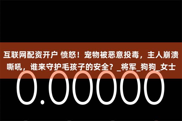 互联网配资开户 愤怒！宠物被恶意投毒，主人崩溃嘶吼，谁来守护毛孩子的安全？_将军_狗狗_女士