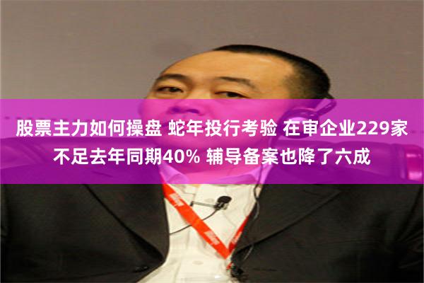 股票主力如何操盘 蛇年投行考验 在审企业229家不足去年同期40% 辅导备案也降了六成