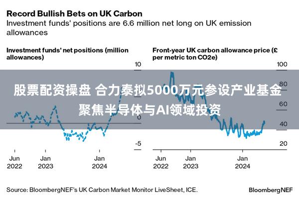 股票配资操盘 合力泰拟5000万元参设产业基金 聚焦半导体与AI领域投资