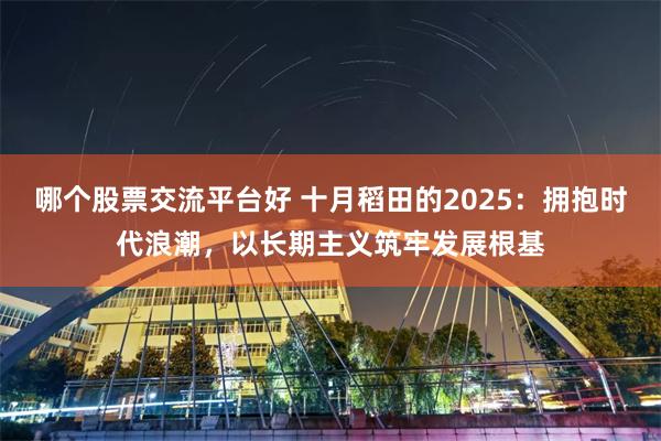 哪个股票交流平台好 十月稻田的2025:拥抱时代浪潮,以长期主义筑牢发展根基